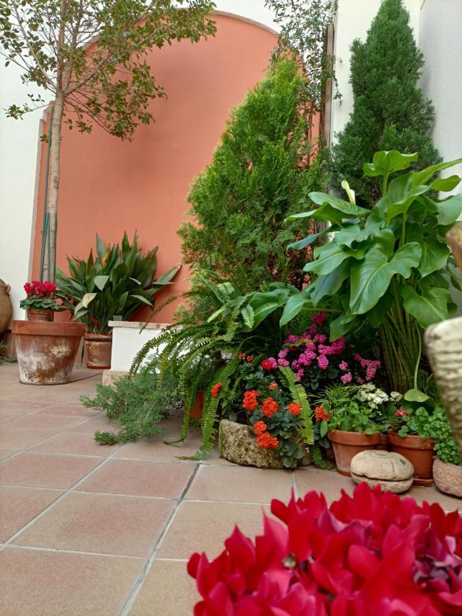 Ziza Lägenhet Córdoba Exteriör bild
